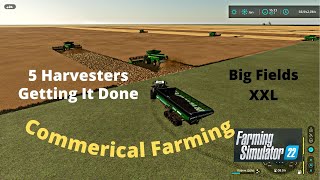 FS22 Big Fields XXL Gameplay Harvesting Never Stops [upl. by Yentrac]