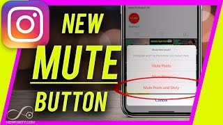 How to MUTE Someone on Instagram [upl. by Onia]