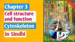 Cytoskeleton class 11 biology Cell structure and functionSindh board [upl. by Loux]