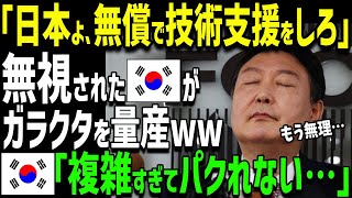 【海外の反応】「おい、SONYタダ技術教えろ！」→K国さん誇大広告で世界から見捨てられるw [upl. by Nolyag]