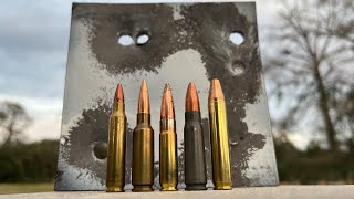 223 vs 65 Grendel vs 300 BO vs 762x39 vs 350 Legend Steel Penetration Test [upl. by Aivatnuahs]