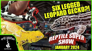 ODDEST REPTILES AT THE POMONA REPTILE SUPER SHOW January 2024 [upl. by Liahcim]