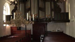 Johann Pachelbel Canon in D major played on organ [upl. by Eehtomit697]