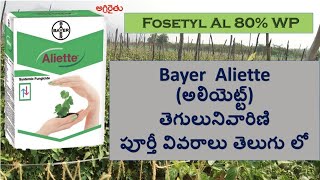 Bayer Aliette Fungicide in Telugu అలియెట్ట్ తెగులు నివారిణి  fosetyl al [upl. by Akinna]