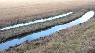 The importance of field drainage [upl. by Dnalel]