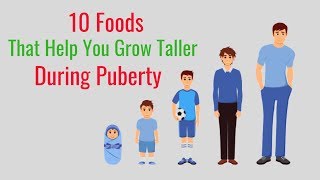 10 Foods That Help You Grow Taller During Puberty [upl. by Yeliab831]