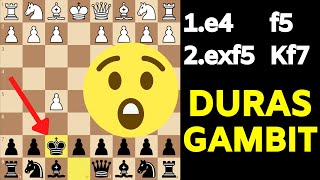 Top 5 Most Surprising Chess Openings [upl. by Ardnwahsal]