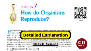 Class 10 Biology How Do Organisms Reproduce Detailed One Shot Explanation [upl. by Elamaj355]