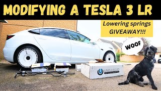 The Quest for Speed Tesla Model 3 Modification [upl. by Eoz287]