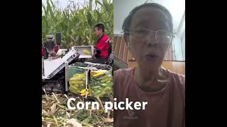 Picking corn machine modernagricuture agriculture [upl. by Aliahs]