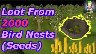 Loot From 2000 Bird Nests Seeds OSRS osrs fyp [upl. by Francesco667]