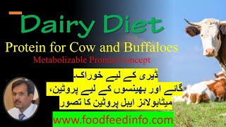 Dairy Feed  Protein and Metabolizable Protein and Bypass Protein [upl. by Nosac]