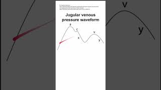 Jugular venous pressure waveform [upl. by Ailedamla]