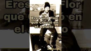 JOVANOTTI  Serenata Rap 1994 [upl. by Jacquenetta]