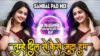 Tumhein Dil Se Kaise Dj Mix  Sambal Pad Mix  Wafa Humne Ki He  Dj Song Mix By Dj Amol Blp [upl. by Naraj739]