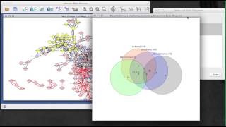 Venn and Euler Diagrams app for Cytoscape 3x [upl. by Sixla]