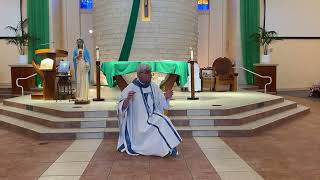 Fr Jim Blount SOLT Homily at Sacred Heart Conference June 17 2023 [upl. by Lyrac]