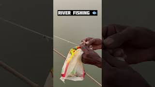 River fishing reels fishing shortsfeed [upl. by Ynar787]