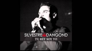 Tu Rey Soy Yo Silvestre Dangond amp Rolando Ochoa  Audio [upl. by Nauhs]