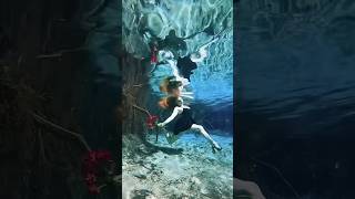 Underwater photoshoot 🌹 underwater underwaterphotoshoot freediver freediving [upl. by Lora249]