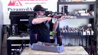 Hatsan 125 Sniper 25 Cal Airgun Review  Amazing power and accuracy [upl. by Aztinay]