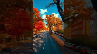 Herbst in Berlin yeah yeah [upl. by Yerahcaz]