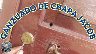 GANZUADO DE CHAPA JACOB [upl. by Simson]