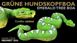 Safari Ltd ® Grüne Hundskopfboa  Grüner Hundskopfschlinger  Corallus caninus  Emerald Tree Boa [upl. by Ylrevaw]