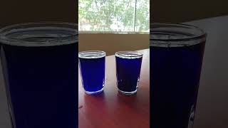 Effect of density in liquid simple experiment Chinnuzzz Diaries ✨ Please subscribe 🤗❤️ [upl. by Newcomb774]