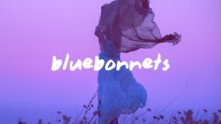 Austin George  Bluebonnets Lyrics [upl. by Akaya577]