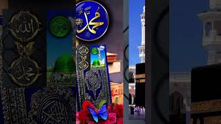 Viral shorts love answer allahloves islamicvideo duet lovewithprophetﷺ farming lovemuhammad [upl. by Reamonn636]