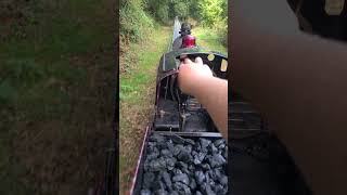 Driving a 5 inch guage steam locomotive around polegate oaks padmec [upl. by Osborne]