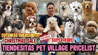 UPDATED PET PRICE LIST IN TIENDESITAS PET VILLAGE🐶🐱🐾  100 LEGIT PURE BREEDS MUST WATCH [upl. by Yrneh706]