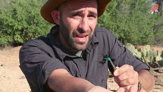 3 Peores picaduras de Coyote Peterson  Brave Wilderness [upl. by Savadove]