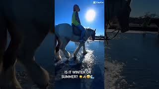 Horse Riding at Muriwai Beach wwwmuriwaibeachhorsetreksconz [upl. by Lorien]