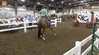 The Western Classic Video Cattle and Horse Sale Pawhuska OK 2024May11143941 [upl. by Arst]