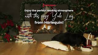 Dont Miss Harlequins Yule Log [upl. by Raimes50]