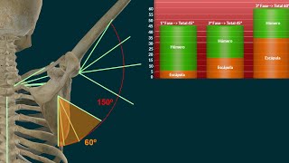 Articulación del Hombro segundo [upl. by Marlin]