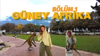 Turla Güney Afrikaya Safariye Gittim Cape Town Masa DağıBo Kaap 16 [upl. by Suellen356]