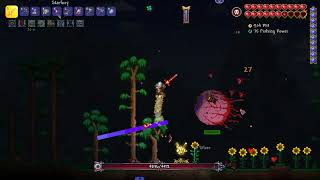 Tmodloader calamity the eye of Cthulhu full bossfight all attacks shown [upl. by Olinad1]