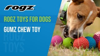 Rogz Toys for Dogs  Gumz Chew Toy [upl. by Raviv]