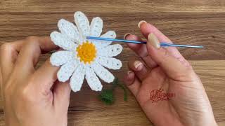 Make Your Own Daisies  DIY Flowers Crochet Tutorial [upl. by Suirradal]