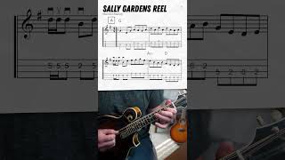 quotSally Gardens Reelquot  Mandolin Lesson shorts [upl. by Enitsyrk]