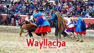 CORACORA 2019JUVENTUD SAN MARCOSGANADOR ABSOLUTOCarnavales de mi tierra [upl. by Ateuqahs]