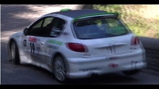 RALLYE DES CAMISARDS 2014 [upl. by Rosemari]