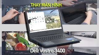 Hướng Dẫn Thay Màn Dell Vostro 3400 Gen 11th 2022 Lời khuyên từ Kỹ thuật Lành Nghề [upl. by Gena606]