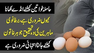 Why Is Eggs Important For Pregnant Women Urdu Hindi  Urdu Lab [upl. by Haceber909]