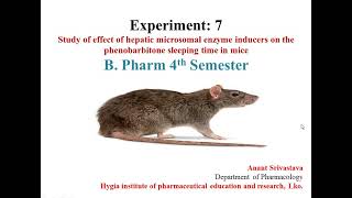 Study the effect of hepatic microsomal enzyme inducers on the phenobarbitone sleeping time in mice [upl. by Eelrac]