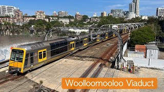 Transport for Sydney Vlog 741 Woolloomooloo Viaduct Trainspotting [upl. by Drawd861]