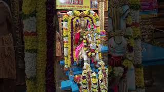 Kalpathy Ratholsavam Kutira vahanam [upl. by Otilegna464]